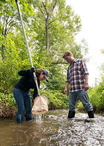 Two students standing in a river with boots and digging out materials with a net. 